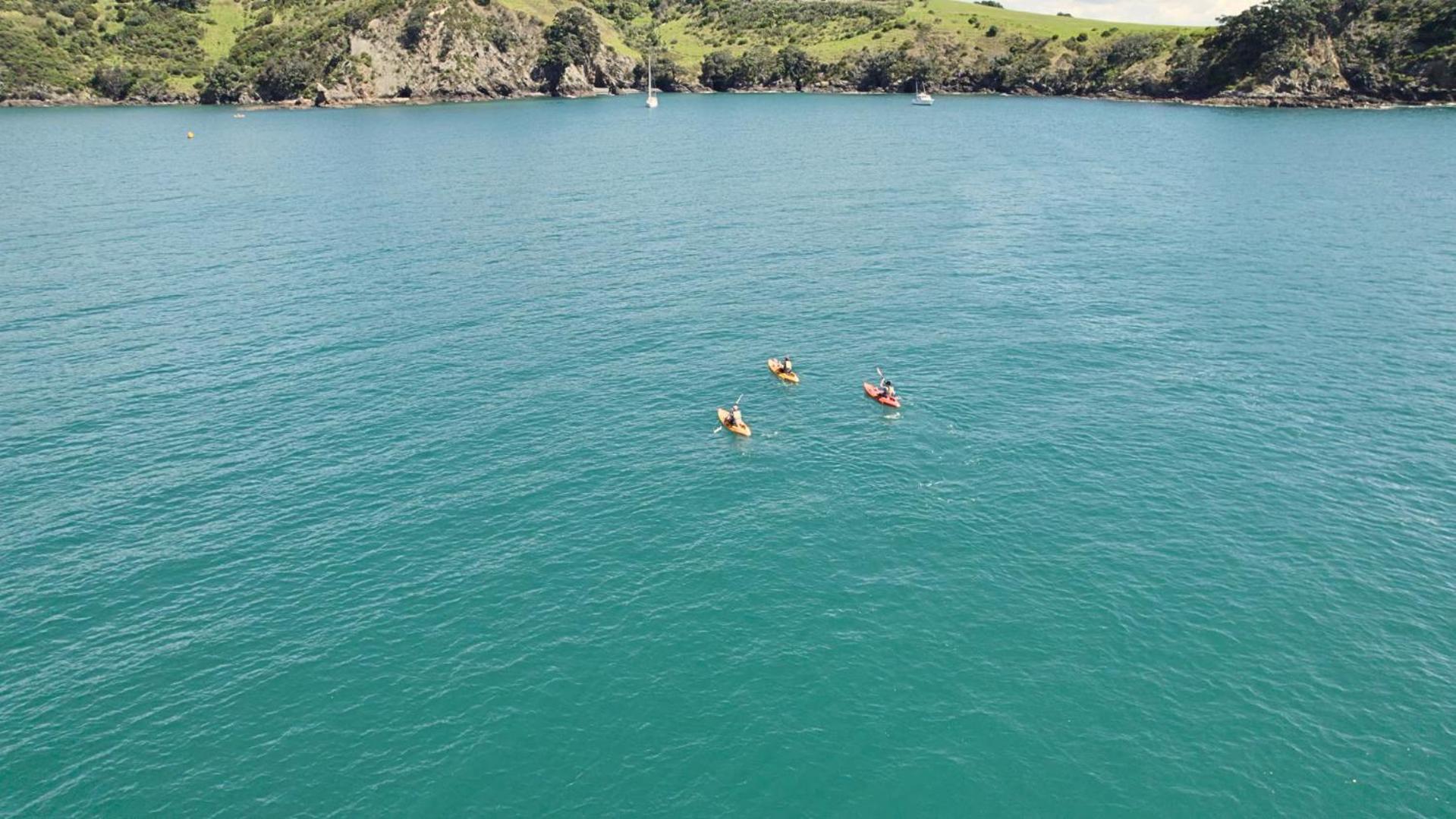 Waiheke Backpackers Hostel Onetangi Экстерьер фото