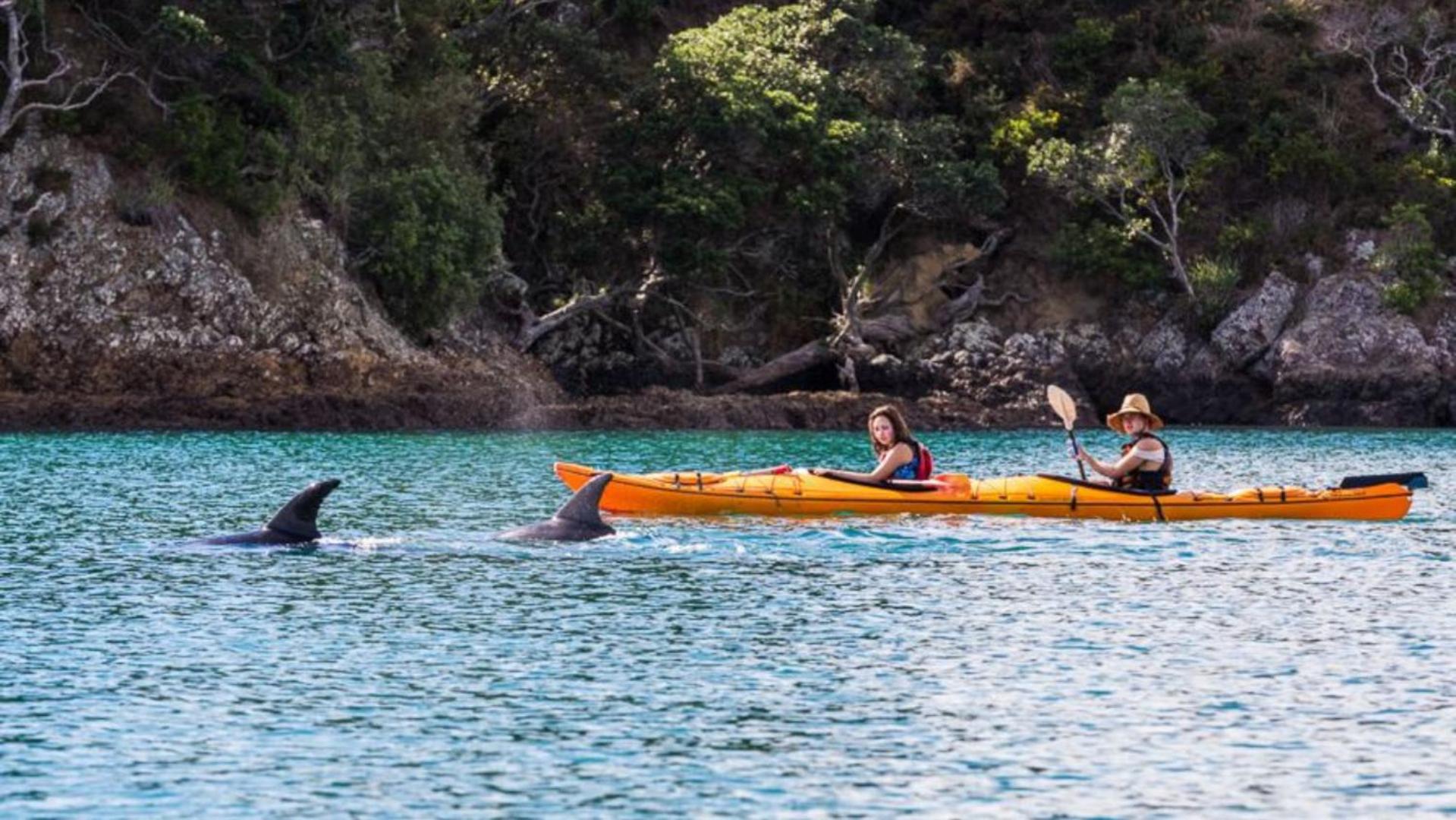 Waiheke Backpackers Hostel Onetangi Экстерьер фото